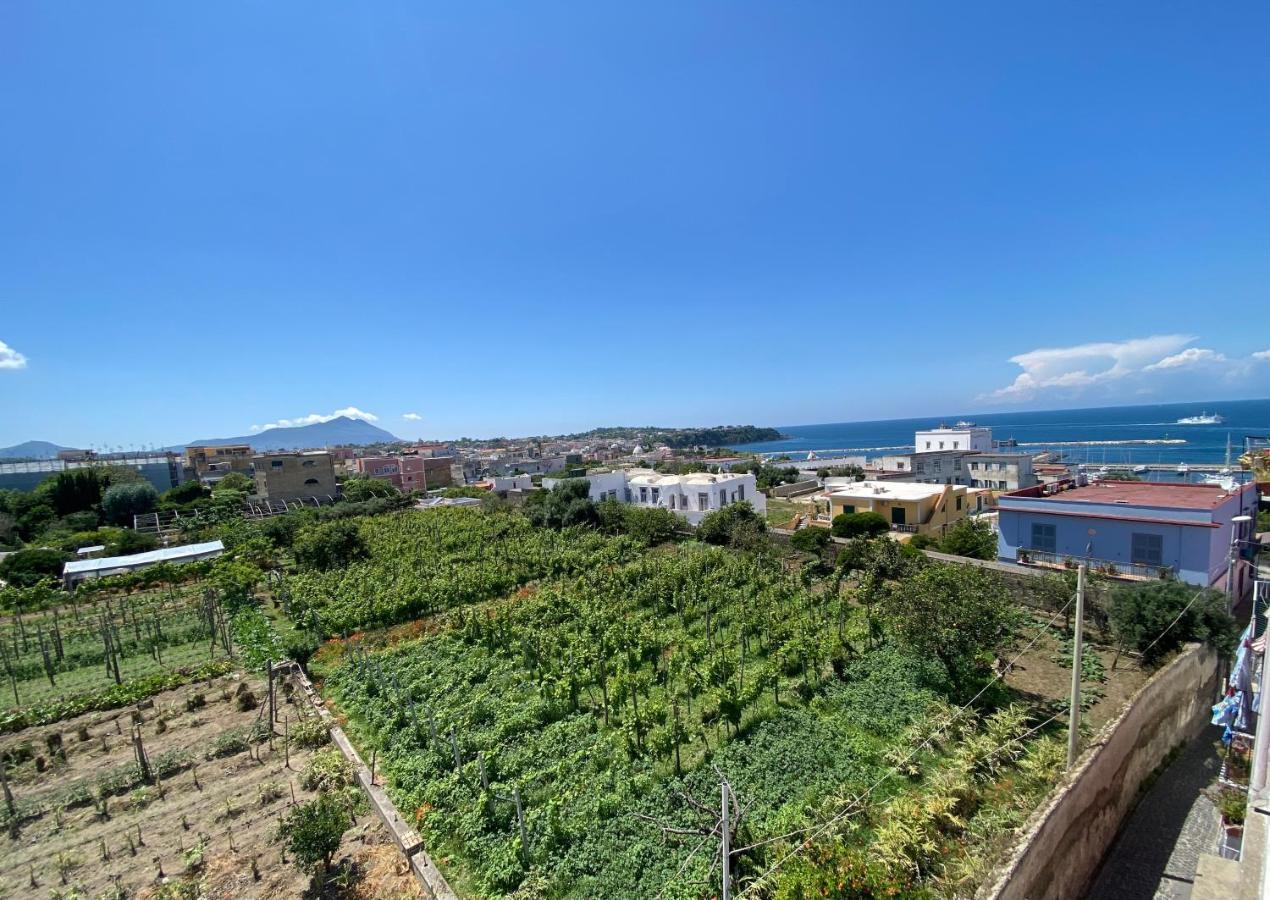 La Casa Dei Sogni Villa Procida Luaran gambar