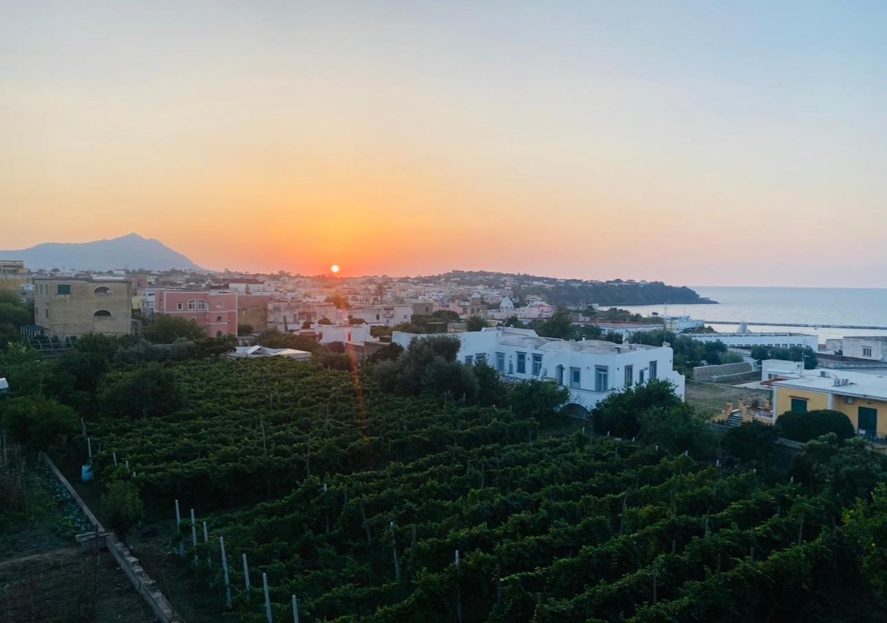La Casa Dei Sogni Villa Procida Luaran gambar